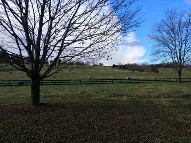 “How childhood hardships influence your present moment”