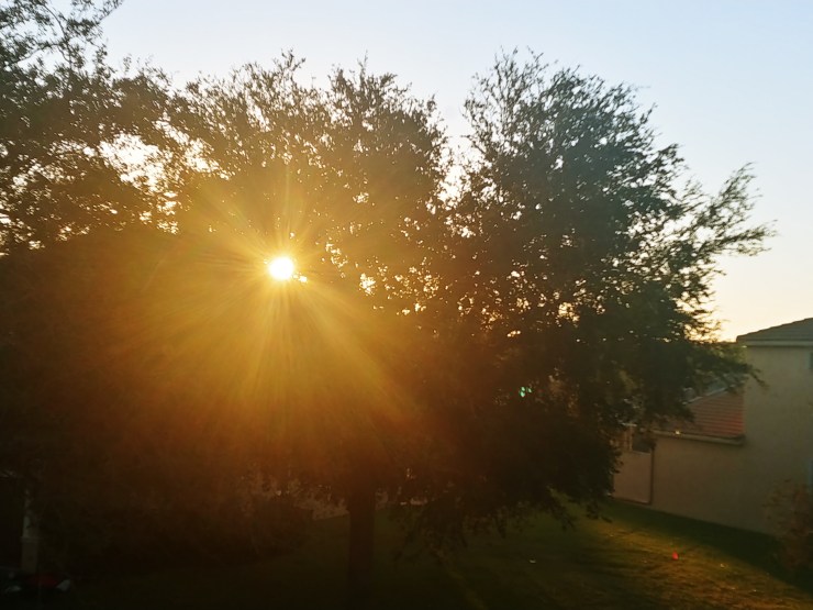 In Order To Grow, We Have To Let Go.