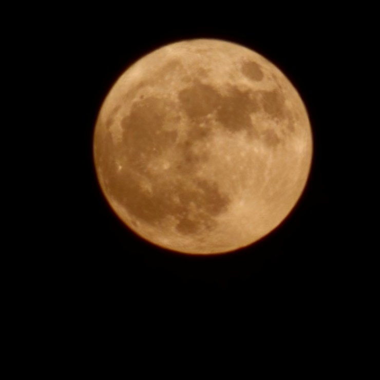 Bathed In Moonlight, I Embrace My True Self